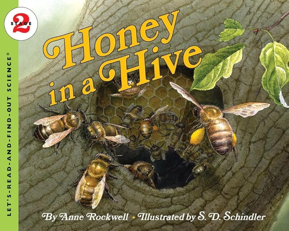Honey in a Hive (Let's-Read-and-Find-Out Science 2) cover image