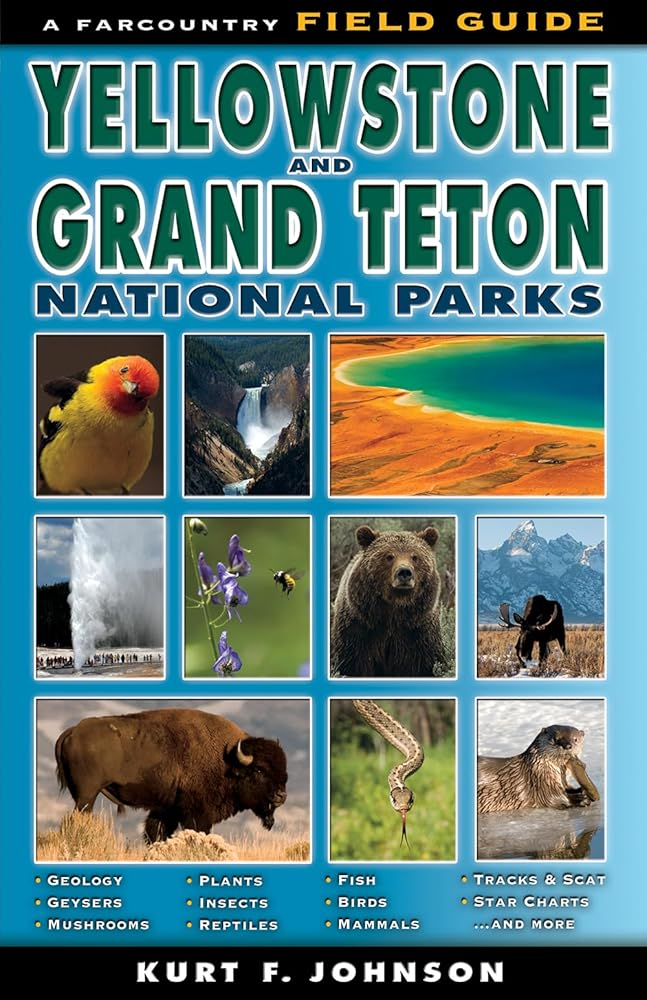 A Field Guide to Yellowstone and Grand Teton National Parks cover image