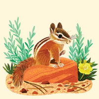 Animals of the NP Travel Match