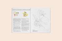 Watercolor Workbook 2: Flowers, Feathers, & Animal Friends