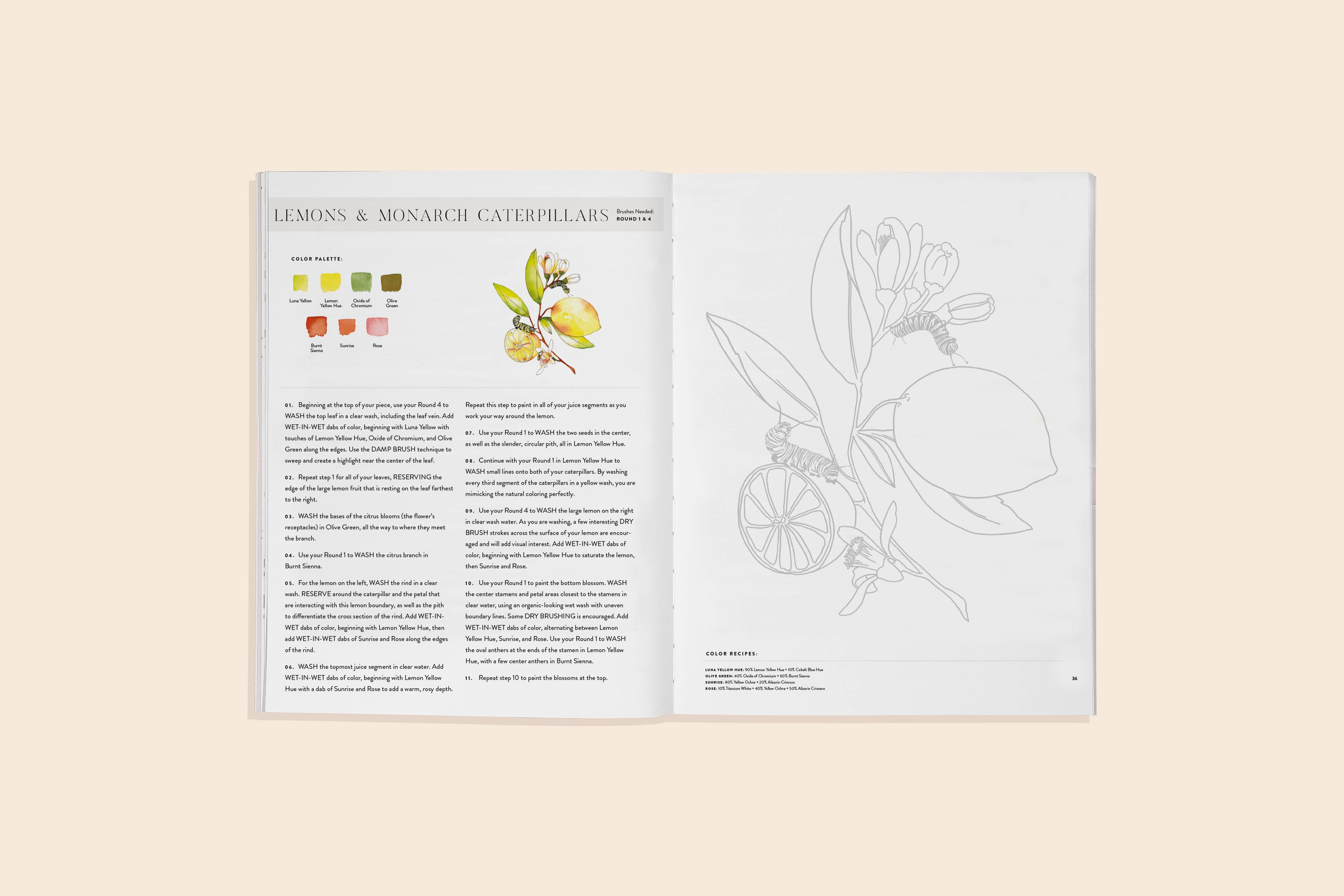 Watercolor Workbook 2: Flowers, Feathers, & Animal Friends