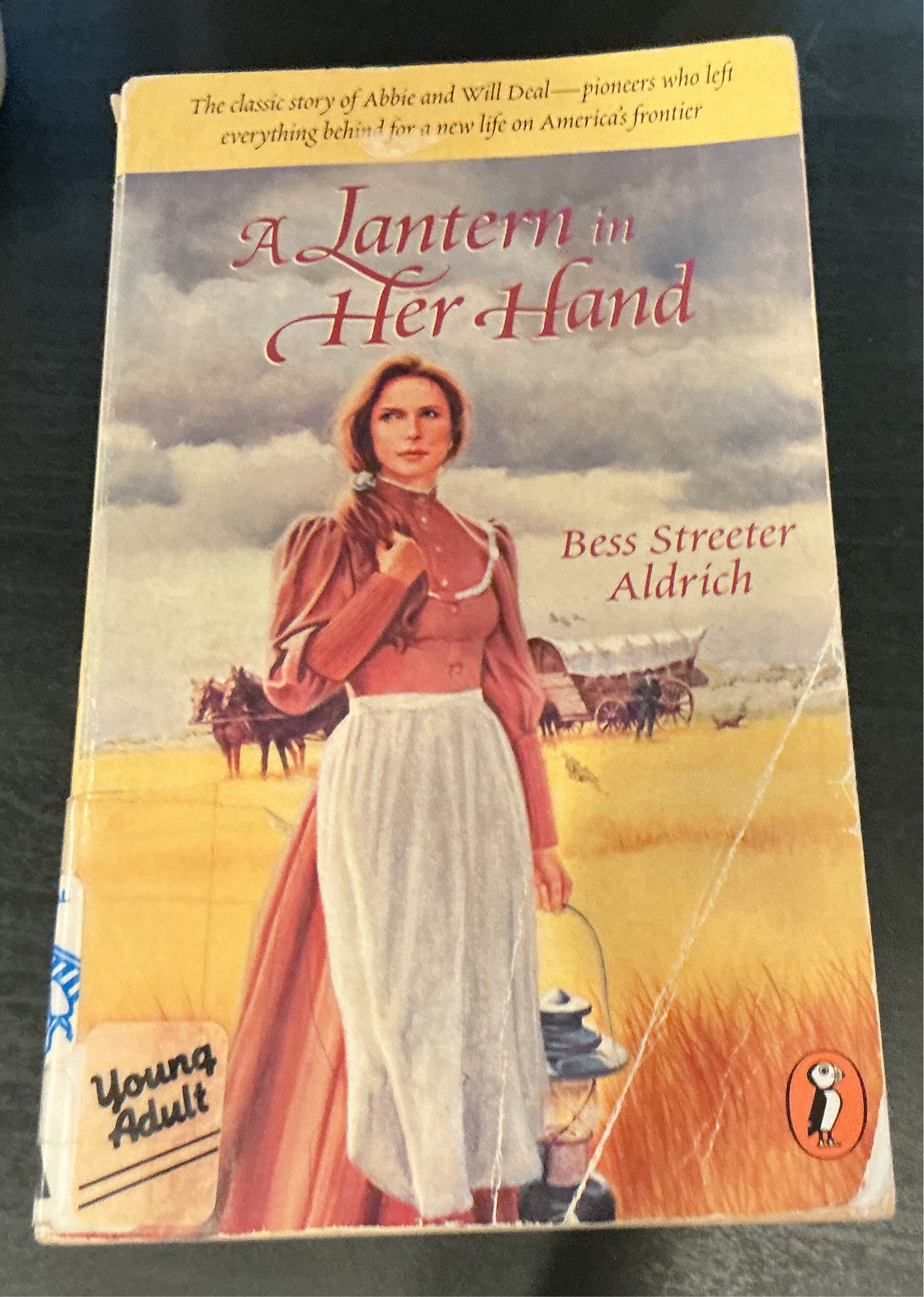 A Lantern in Her Hand (Used)