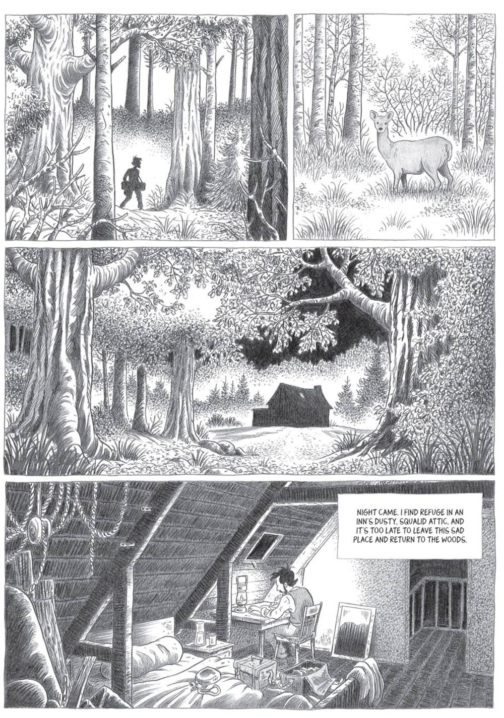 John Muir: To the Heart of Solitude: 8.5 x 11 x .70 / Harcover / 176