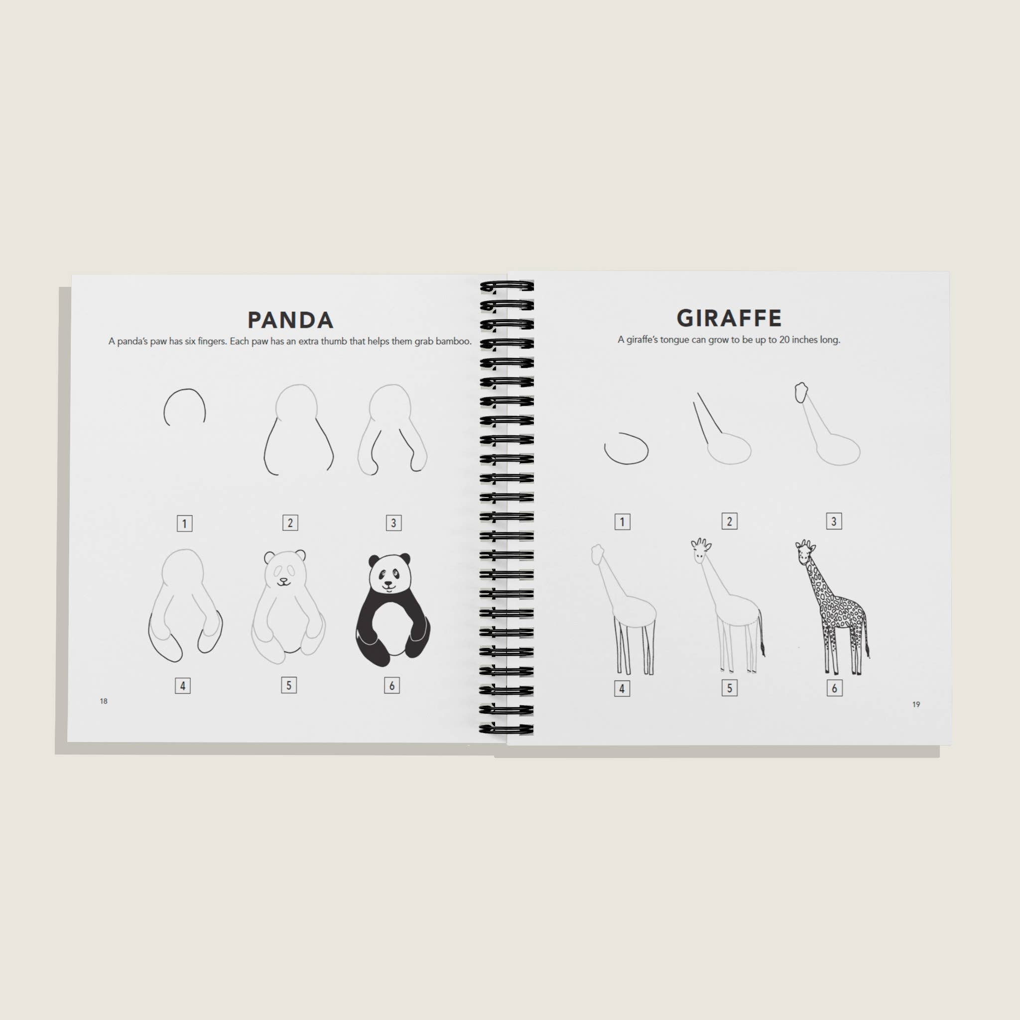 All the Animals: How to Draw Books for Kids (Spiral)