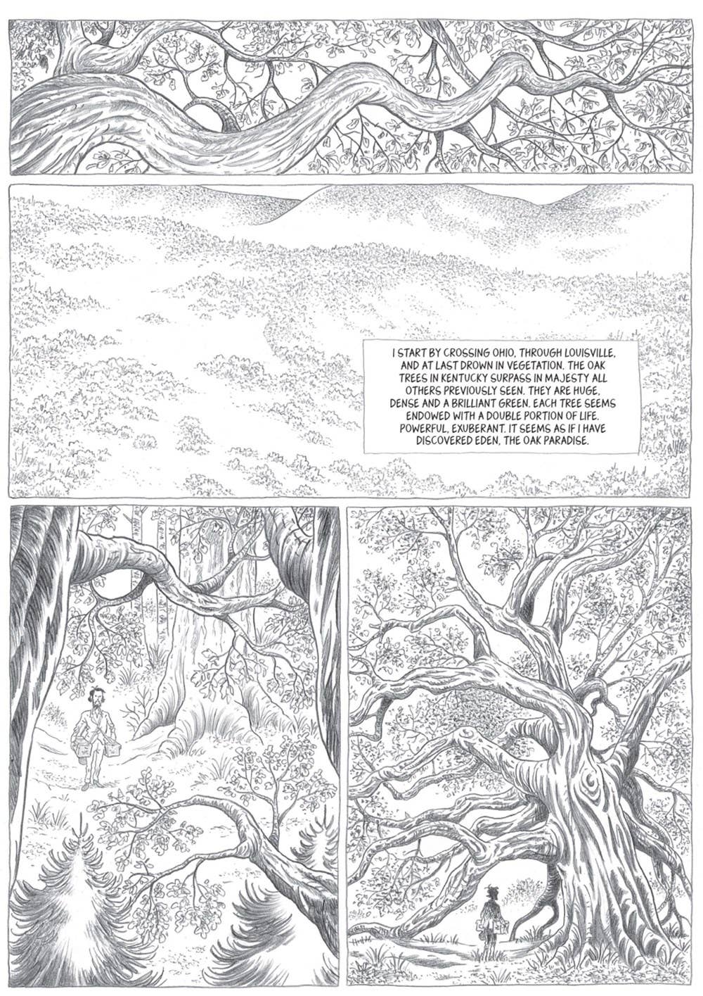 John Muir: To the Heart of Solitude: 8.5 x 11 x .70 / Harcover / 176