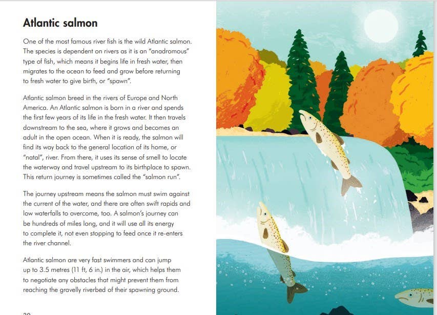 Rivers: 4.45 x 6.7 x 0.28 / Hardcover / 48