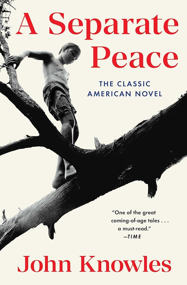 A Separate Peace (used)