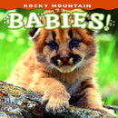 Rocky Mountain Babies! (Babies! (Farcountry Press)) cover image