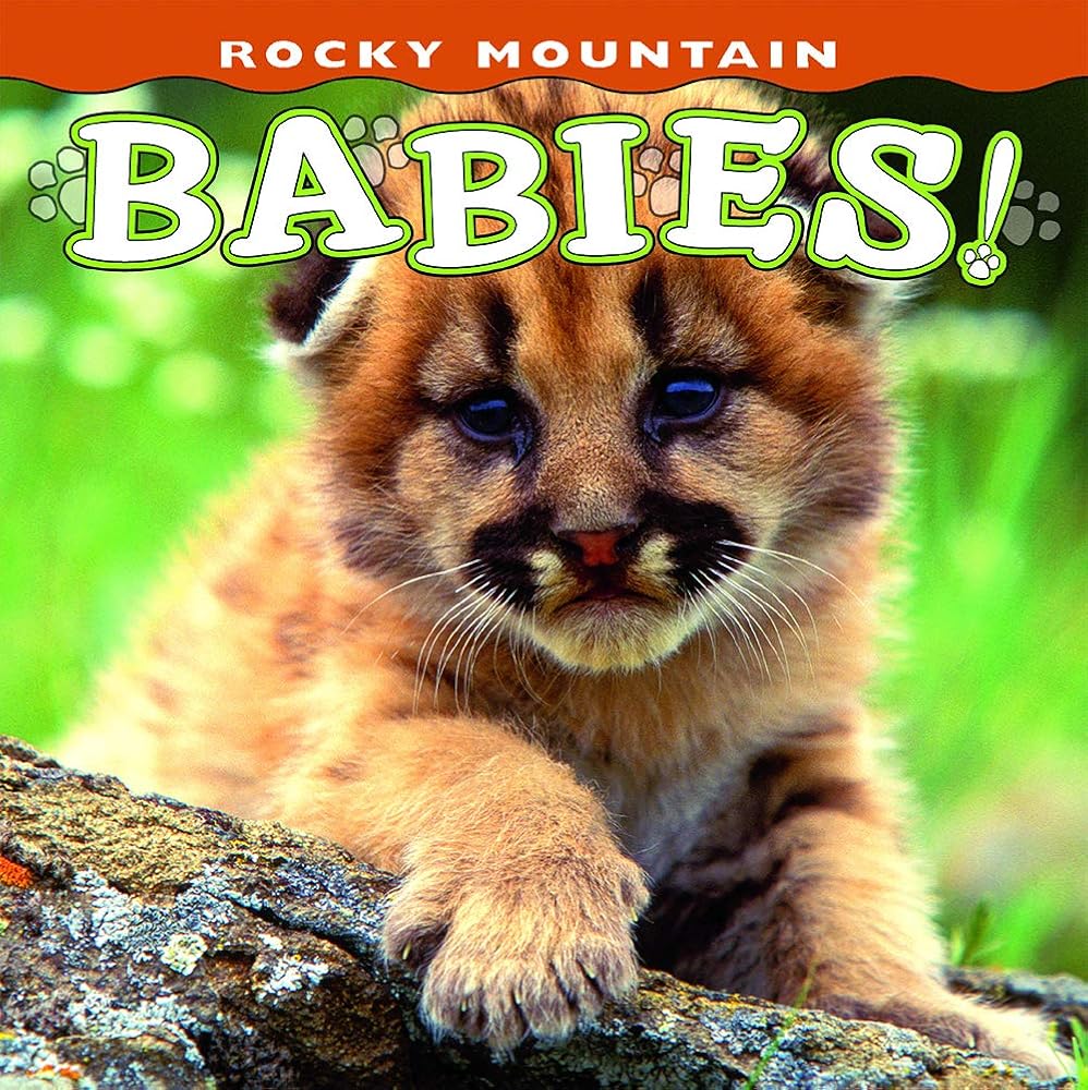Rocky Mountain Babies! (Babies! (Farcountry Press))