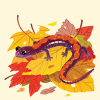 Animals of the NP Travel Match