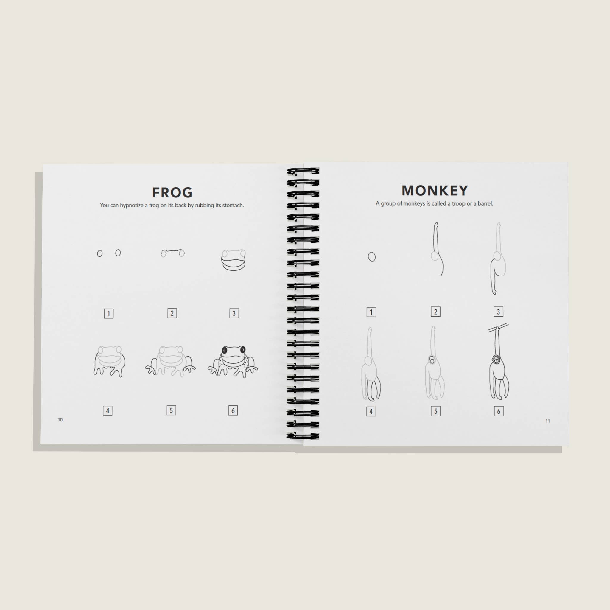 All the Animals: How to Draw Books for Kids (Spiral)